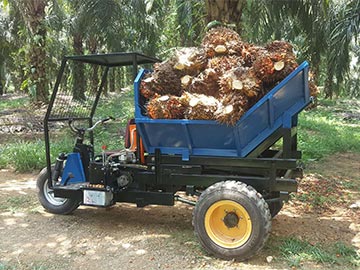 棕榈果运输专用柴油三轮车